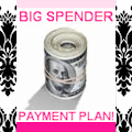 Big Spender Payment Plan Paypig Training