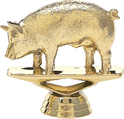 biggest loser trophy pig