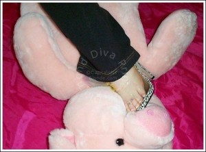 paypig Financial Worship piggybanks